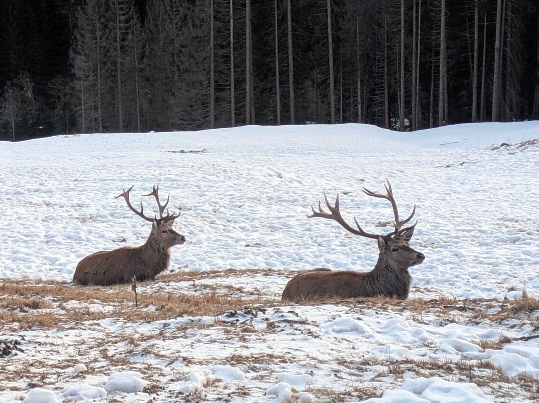 加拿大酒店主图