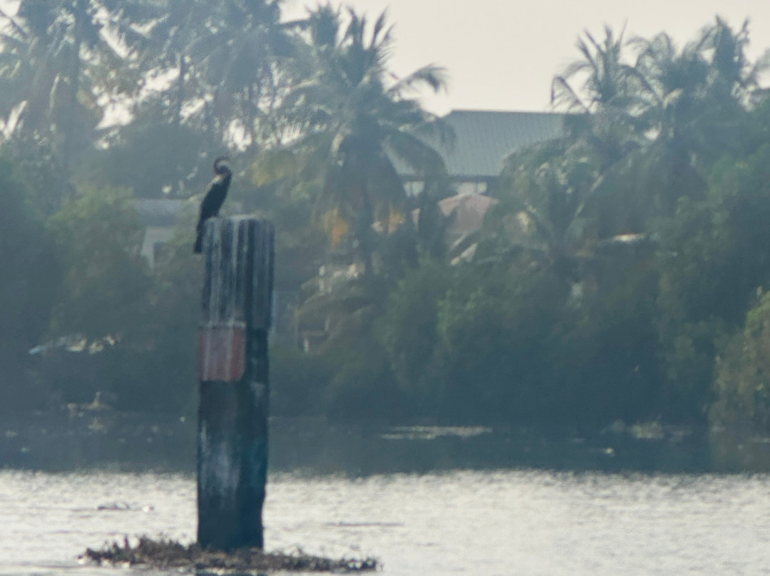 Tourist Information Centre/Fortkochi Taxi Cab Service-Fort Kochi必去景点