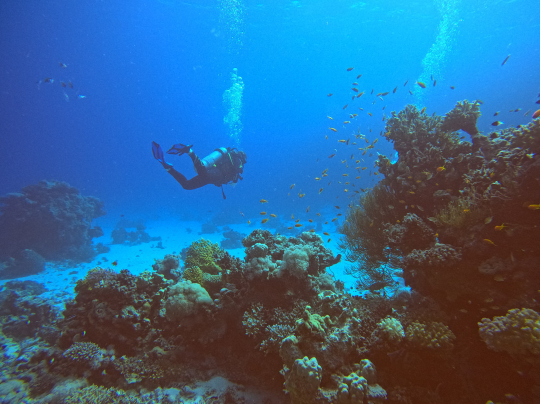 Egypt International-赫尔格达必去景点