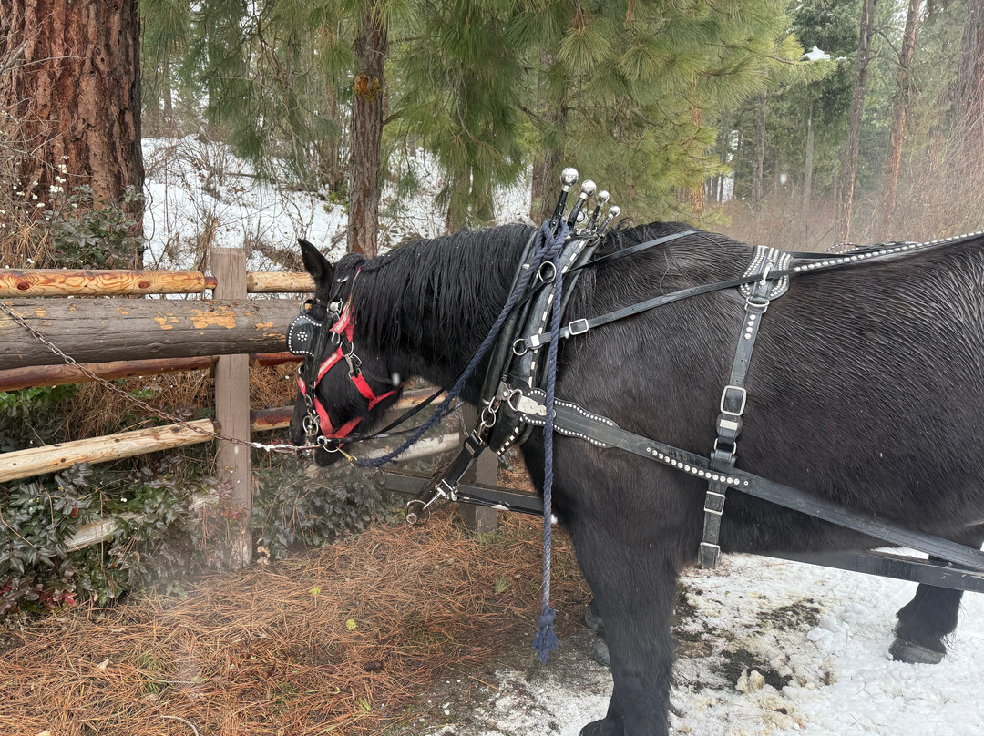 Leavenworth Sleigh Rides-莱文沃思必去景点