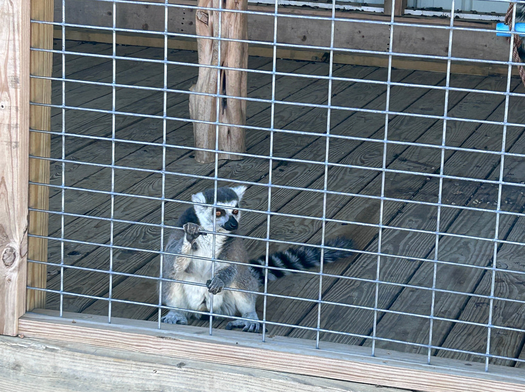 Grapetown Vineyard-弗雷德里克斯堡必去景点