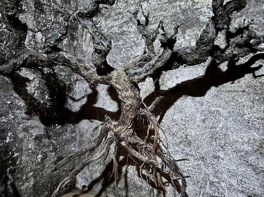 Bodegas Franco Espanolas-洛格罗尼奥必去景点