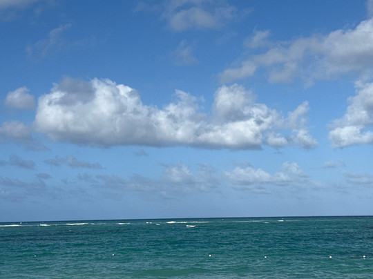 Family Selection at Grand Palladium Select Bávaro