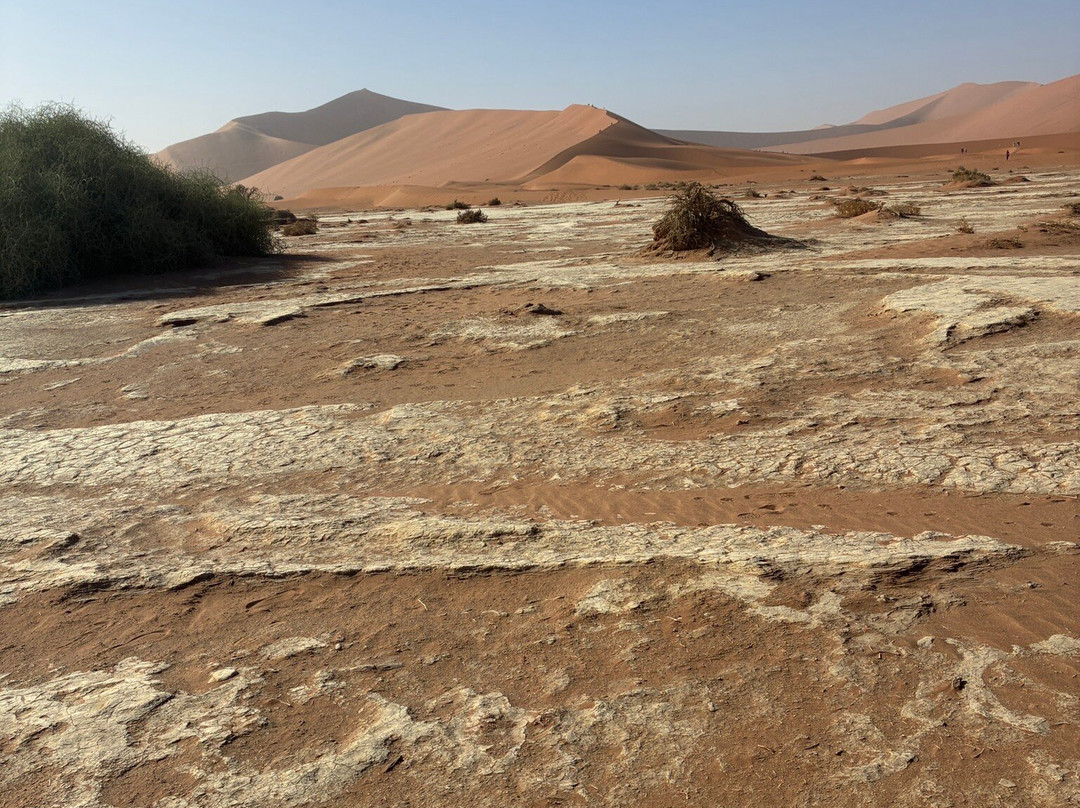 Big Daddy Dune-苏丝斯黎必去景点