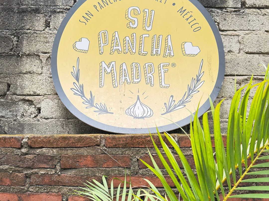 Vallarta Adventures-新瓦雅塔必去景点