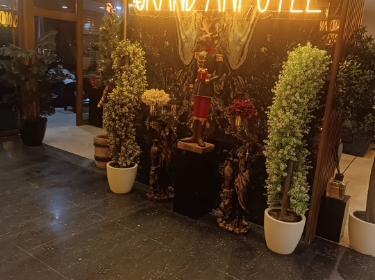 Grand Ani Hotel主图