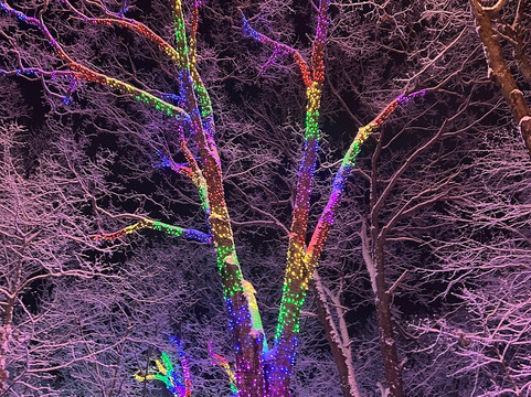 Sandy Hill Farm-Eliot必去景点