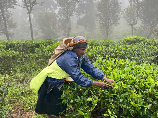 Alvar Tours-卡图纳耶克必去景点