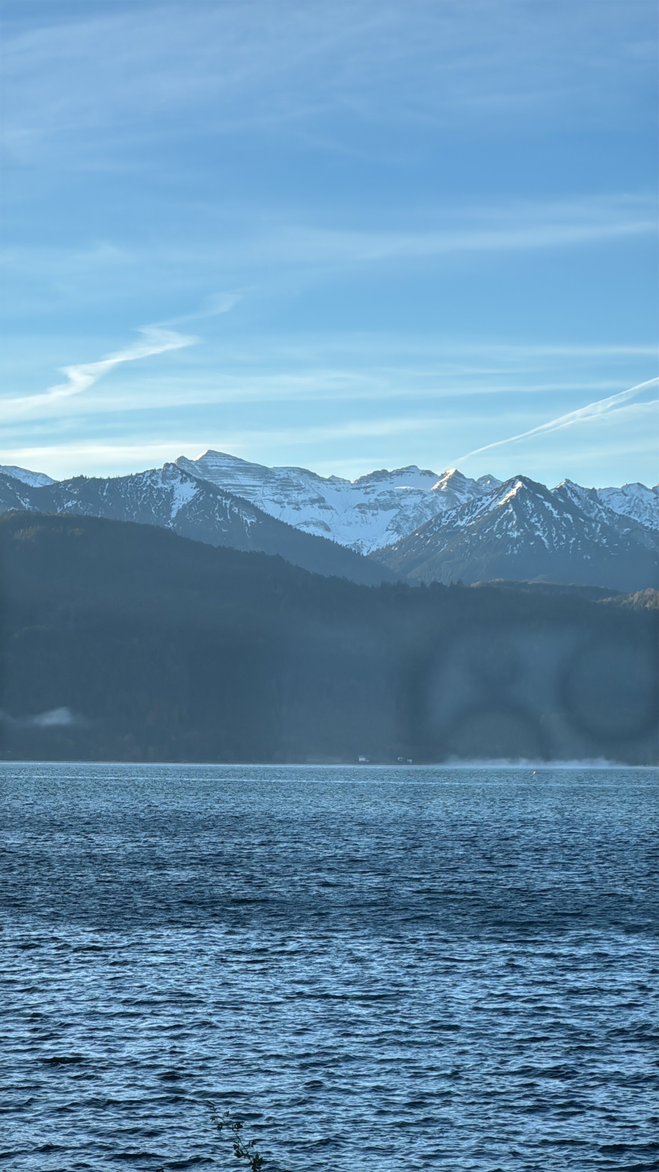 Brackenhofer Aparthotel am Walchensee-官方