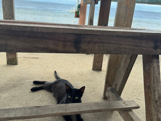 Panagsama Beach-莫阿尔博阿尔必去景点