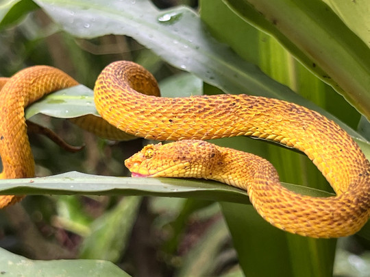 Erik Garcia Conchal Beach-孔查沙滩必去景点