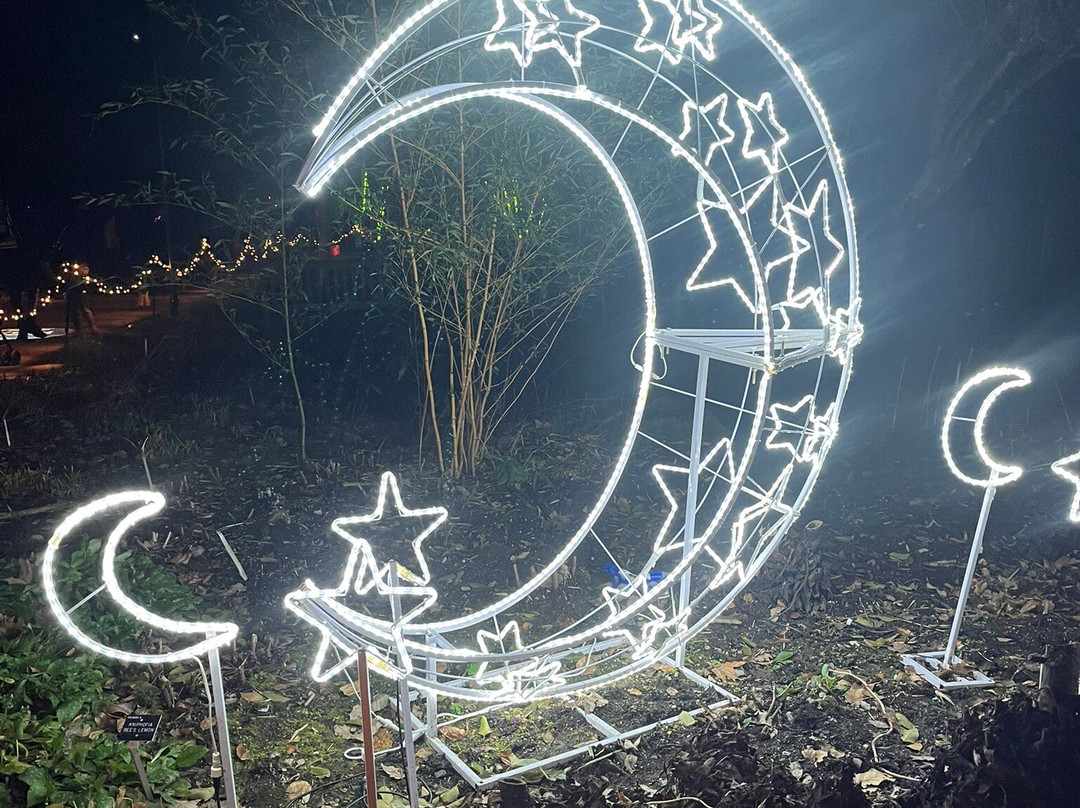 Light Up Trails-罗姆西必去景点