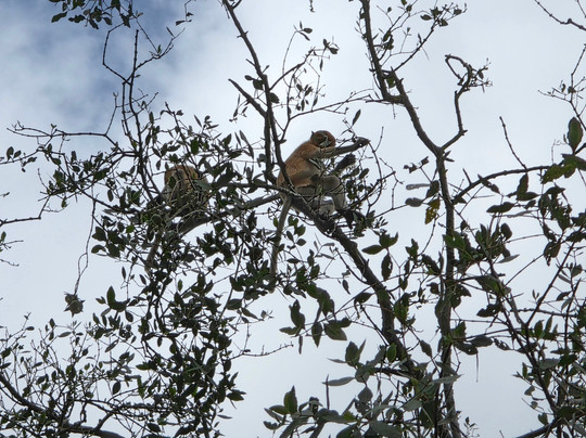Brunei River-斯里巴加湾必去景点