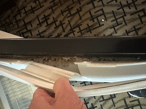 Days Inn by Wyndham Picayune主图