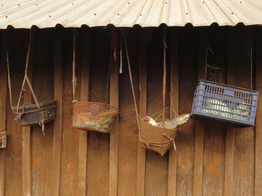 Elephant Community Project - Day Tours-森莫诺隆必去景点