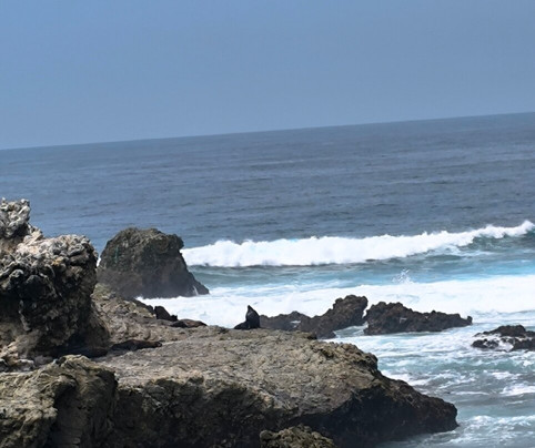 La Lobería-萨利纳斯必去景点