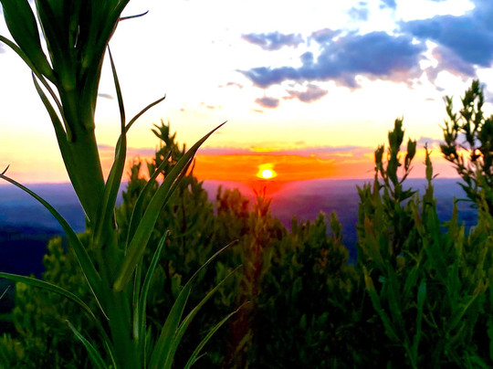 Bicho do Mato Ecoturismo-Videira必去景点