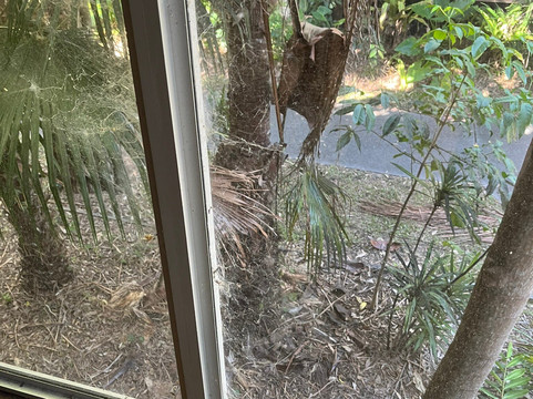 安葛里度假村主图