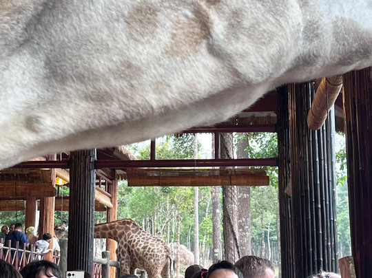 珍珠王国野生动物园-富国岛必去景点