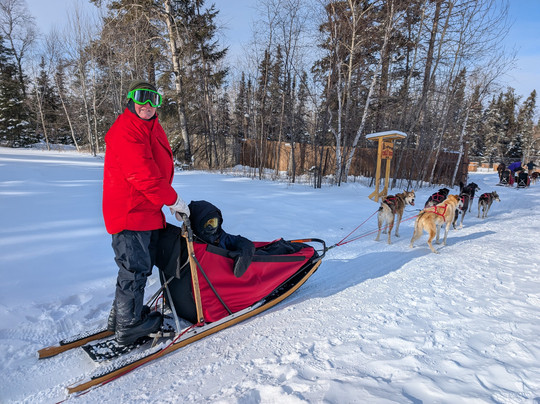 Chilly Dogs Sled Dog Trips-伊利必去景点