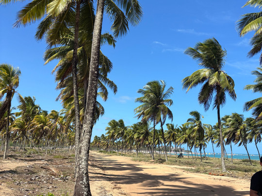 BDM Tour-里约热内卢必去景点