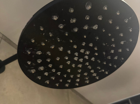 Di Lusso-Lier必去景点