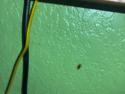 Comfort Inn & Suites Grinnell Near I-80主图