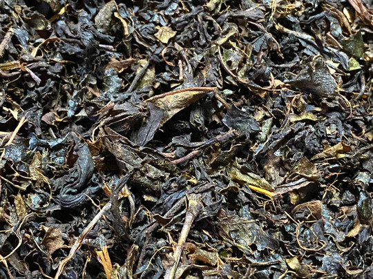 蓝田茶园-奴娃拉伊利雅必去景点