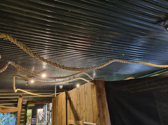 Stratford Butterfly Farm-埃文河畔斯特拉特福必去景点