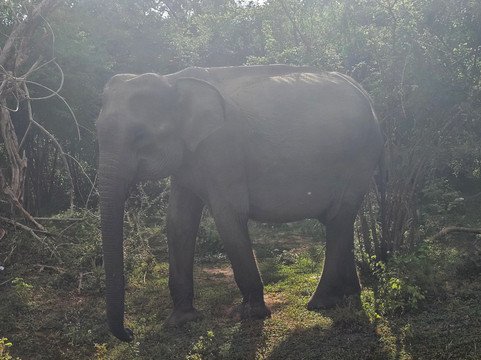 TrustGo Travels-埃勒必去景点