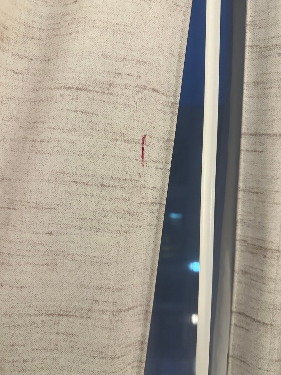 华盛顿国家港口威斯汀酒店-客卧