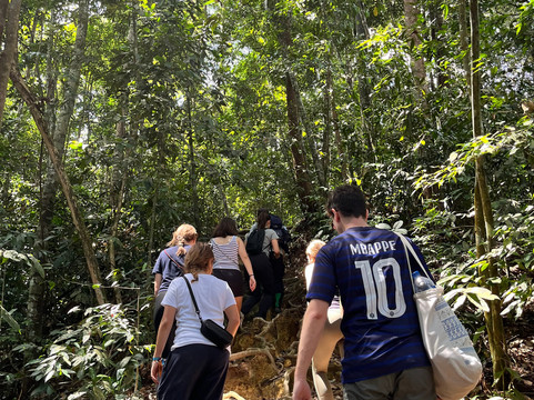 Bukit Lawang Tour Trekking