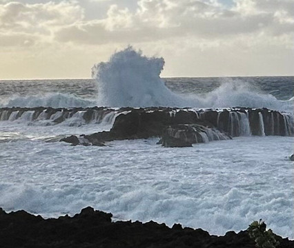 Shark's Cove-哈雷瓦必去景点