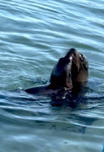 Surtrek-基多必去景点