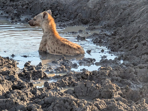 Vivi Il Kenya Con Sorriso-瓦塔木必去景点
