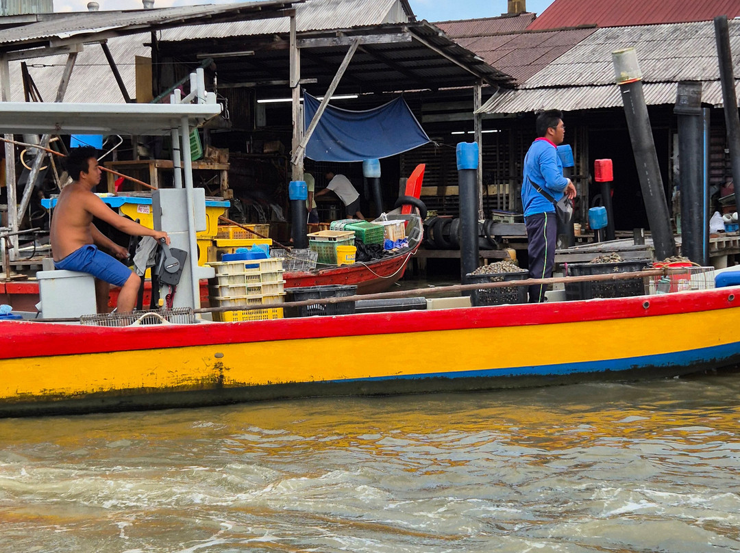 Matang Mangrove Forest Reserve-Kuala Sepetang必去景点
