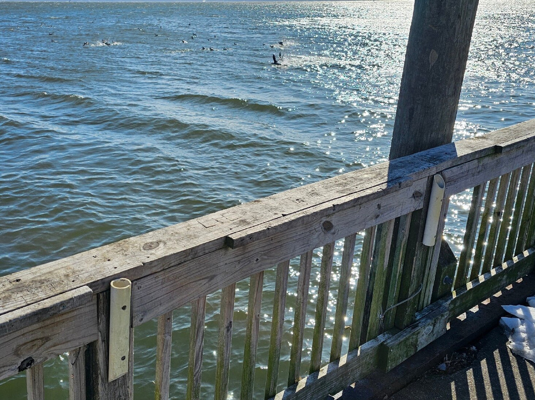 Frank J. Hutchins Memorial Park-Havre de Grace必去景点