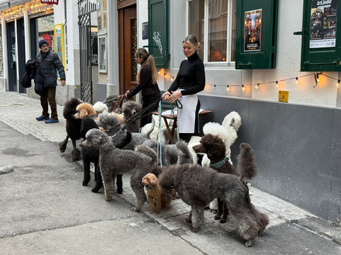 Restaurant und Zunfthaus Weisser Wind主图