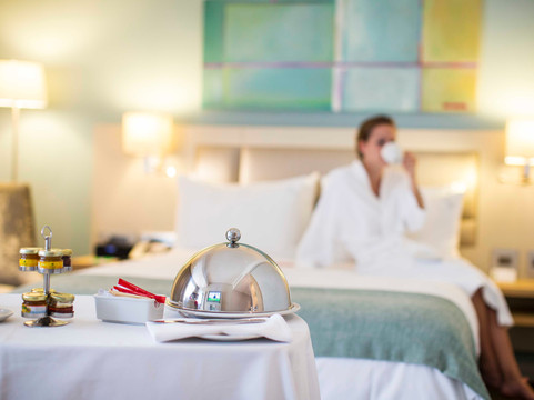 毛里求斯蒙特里索尔假日酒店主图