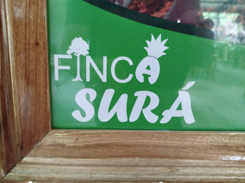 Finca Sura-Puerto Viejo de Sarapiqui必去景点