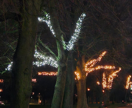 约克郡西公园旅屋酒店主图