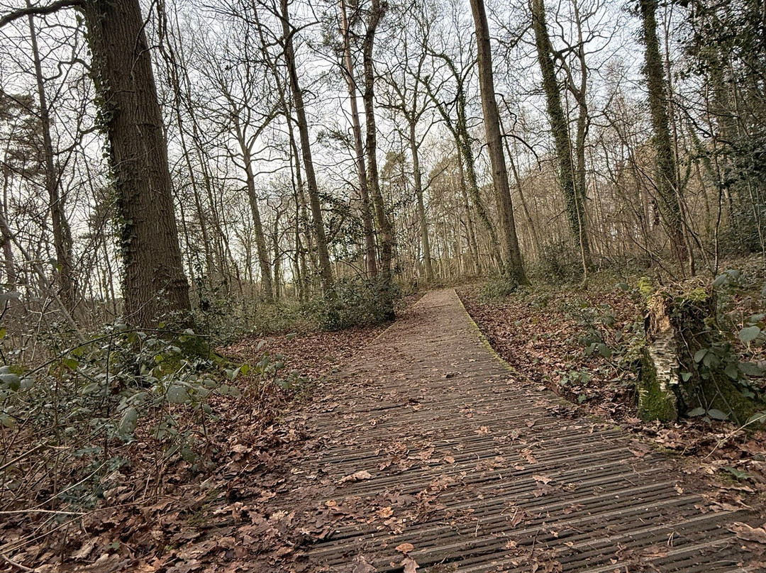 Englemere Pond-Ascot必去景点