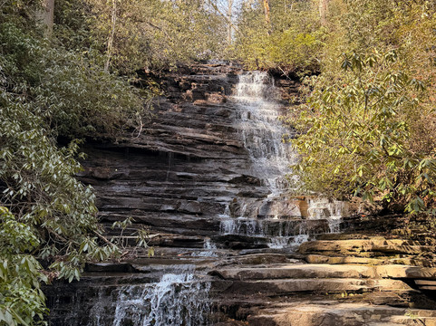 Angel Falls Trail-Lakemont必去景点