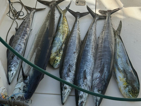 Speartime Luxury Charters-Christie必去景点