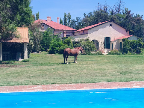 安第斯山脉兰德斯酒店主图