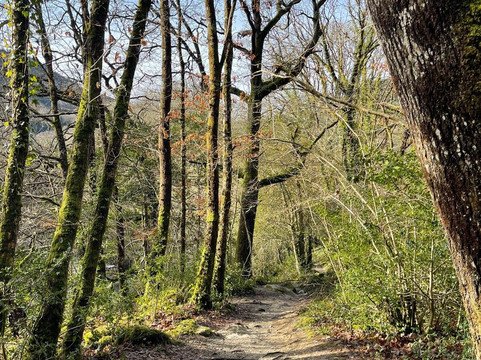 Fairy Glen-Betws-y-Coed必去景点