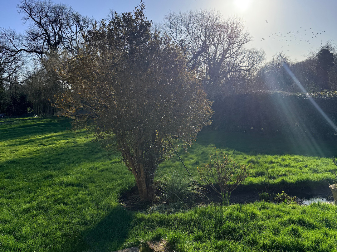 登斯福德民宿主图