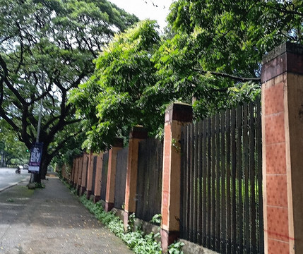 University Of The Philippines - Diliman-奎松市必去景点