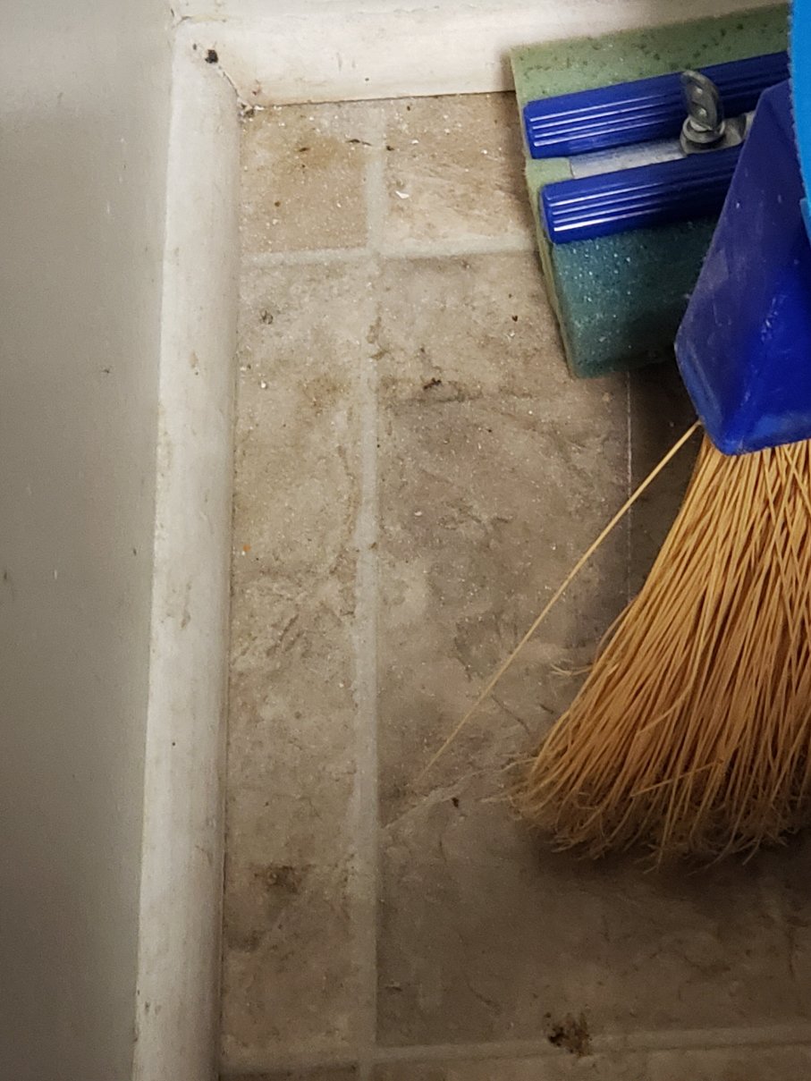 Excelsior At The Manor House-官方