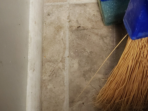 Excelsior At The Manor House主图